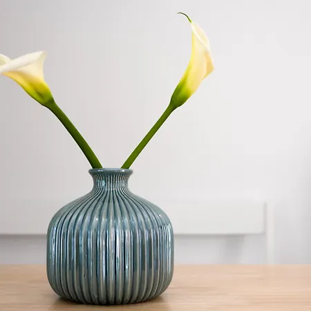 White Harmony Appartement *