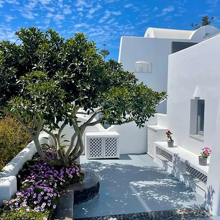 White Harmony