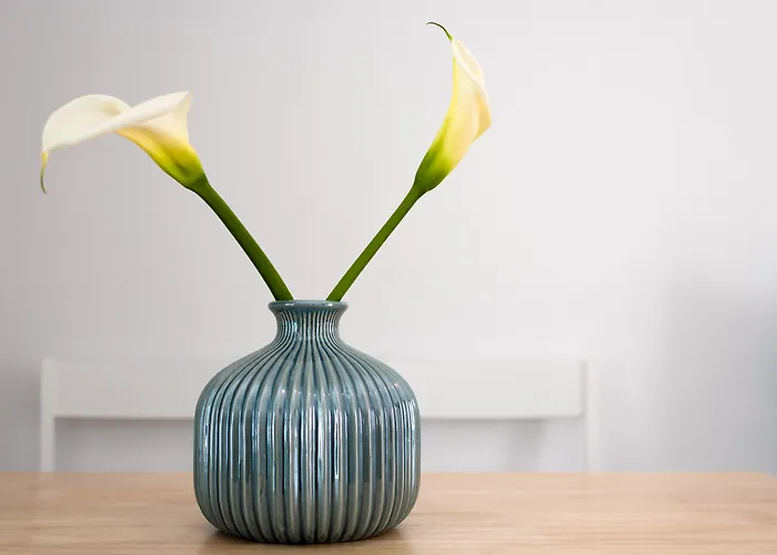 White Harmony شقة *